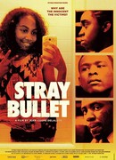 Stray Bullet