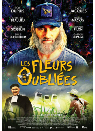 кино Забытые цветы (Les fleurs oubliées) 31.07.24