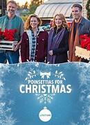 Пуансеттии на Рождество