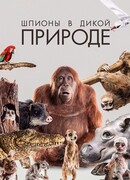 Шпионы в дикой природе сезон 1