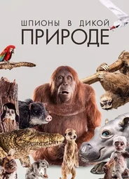 Шпионы в дикой природе