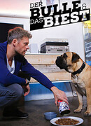 Полицейский и чудовище сезон 1