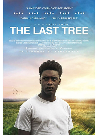 кино Последнее дерево (The Last Tree) 31.07.24