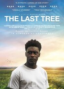 Последнее дерево