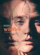 Из огня да в полымя