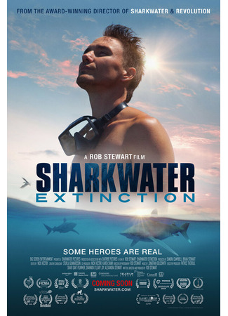 кино Акулы: Вымирание (Sharkwater Extinction) 31.07.24