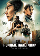 Ночные налётчики
