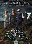 Тёмный ангел