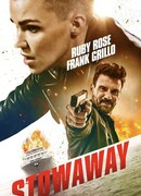 Безбилетный пассажир