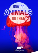 Удивительный мир животных