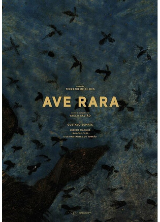 кино Ave Rara 31.07.24