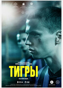 Тигры