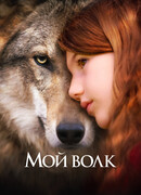 Мой волк