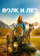 Волк и лев