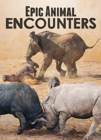 Epic Animal Encounters