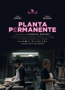 Planta permanente