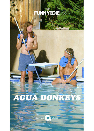 кино Agua Donkeys 31.07.24