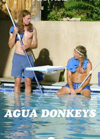 Agua Donkeys