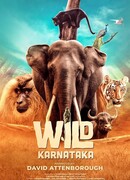 Дикая Карнатака