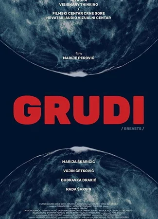Grudi
