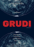 Grudi