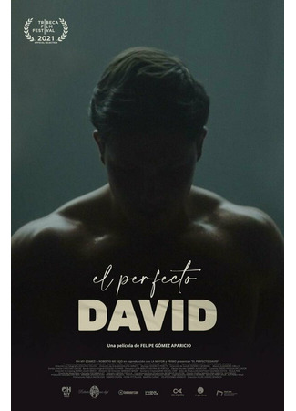 кино El perfecto David 31.07.24