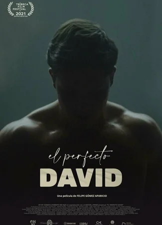 El perfecto David