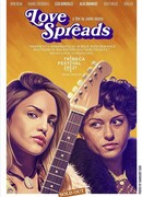 Любовь вокруг