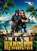 Шимпанзе под прикрытием