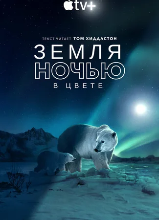 Земля ночью в цвете