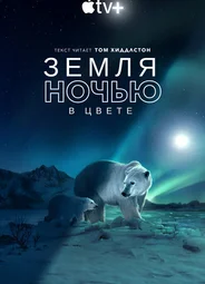 Земля ночью в цвете