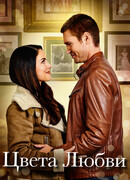 Цвета любви