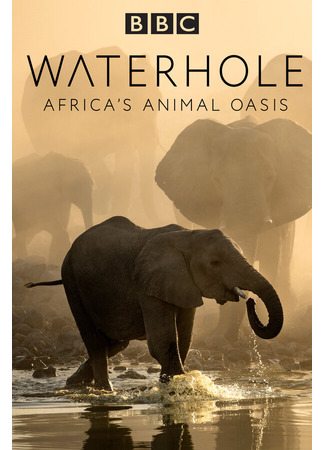 Водопой: Африканский оазис для животных