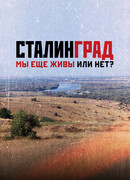 Сталинград. Мы еще живы или нет?