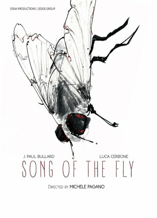 кино Song of the Fly 31.07.24