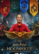 Гарри Поттер: Турнир факультетов Хогвартса сезон 1
