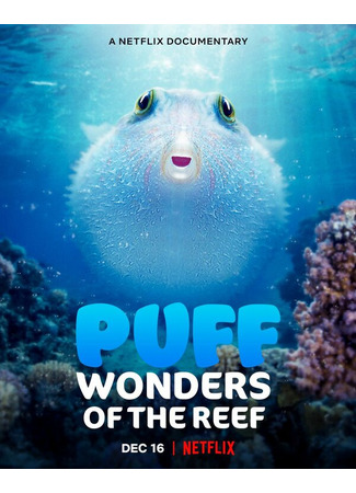 кино Чудеса кораллового рифа (Puff: Wonders of the Reef) 31.07.24