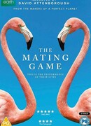 Брачная игра сезон 1