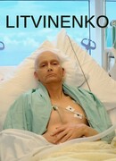 Литвиненко сезон 1