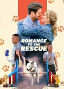 Дрессировка любви