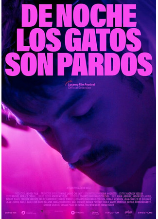 De noche los gatos son pardos