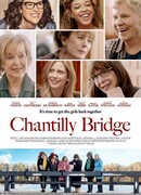 Мост шантильи