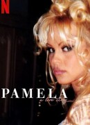 Памела: История любви