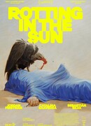 Истлевший на солнце