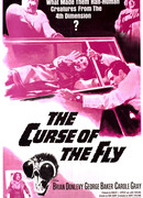 Проклятие мухи