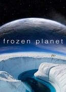 BBC: Замёрзшая планета сезон 1
