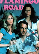 Фламинго-роуд сезон 1