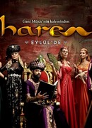 Гарем сезон 1