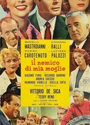 Враг моей жены