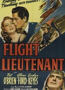 Капитан авиации